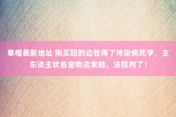 草榴最新地址 刚买回的边牧得了传染病死字，主东谈主状告宠物店索赔，法院判了！