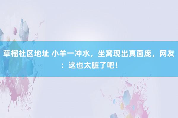 草榴社区地址 小羊一冲水，坐窝现出真面庞，网友：这也太脏了吧！