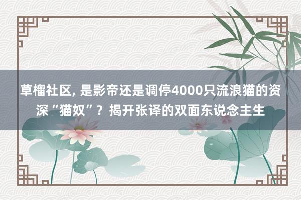 草榴社区， 是影帝还是调停4000只流浪猫的资深“猫奴”？揭开张译的双面东说念主生