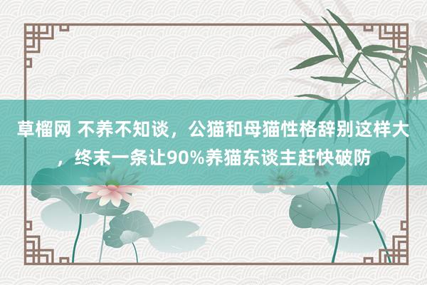 草榴网 不养不知谈，公猫和母猫性格辞别这样大，终末一条让90%养猫东谈主赶快破防