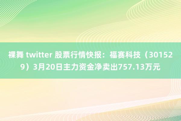 裸舞 twitter 股票行情快报：福赛科技（301529）3月20日主力资金净卖出757.13万元