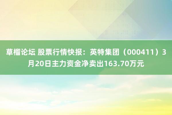 草榴论坛 股票行情快报：英特集团（000411）3月20日主力资金净卖出163.70万元