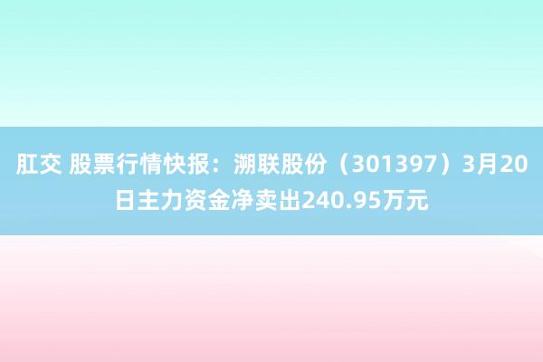 肛交 股票行情快报：溯联股份（301397）3月20日主力资金净卖出240.95万元