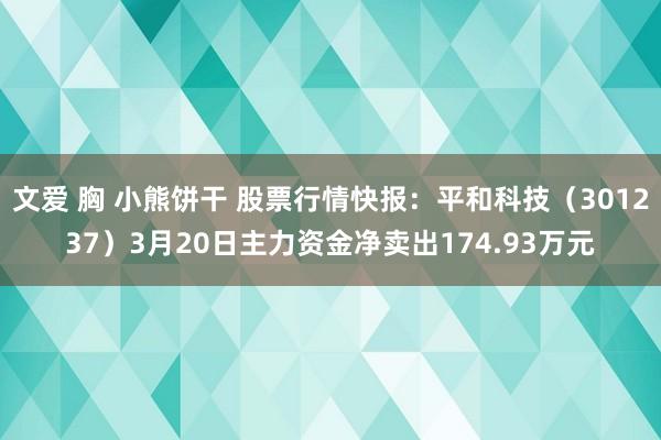 文爱 胸 小熊饼干 股票行情快报：平和科技（301237）3月20日主力资金净卖出174.93万元
