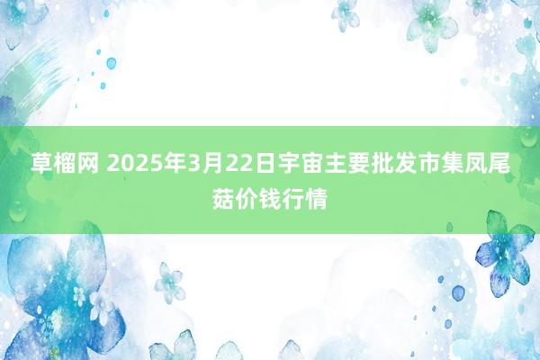 草榴网 2025年3月22日宇宙主要批发市集凤尾菇价钱行情