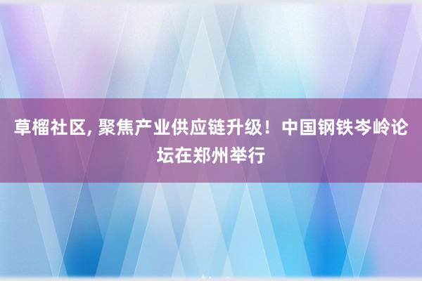 草榴社区， 聚焦产业供应链升级！中国钢铁岑岭论坛在郑州举行