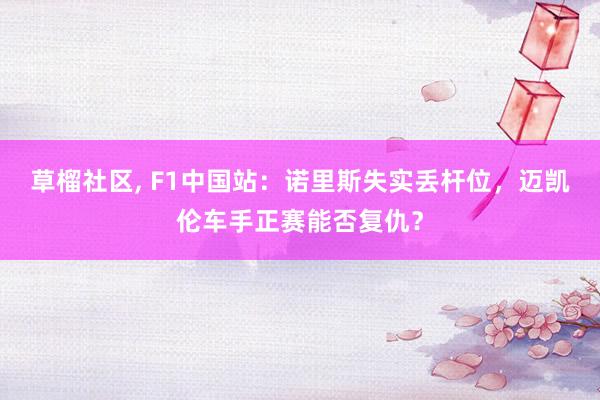 草榴社区， F1中国站：诺里斯失实丢杆位，迈凯伦车手正赛能否复仇？