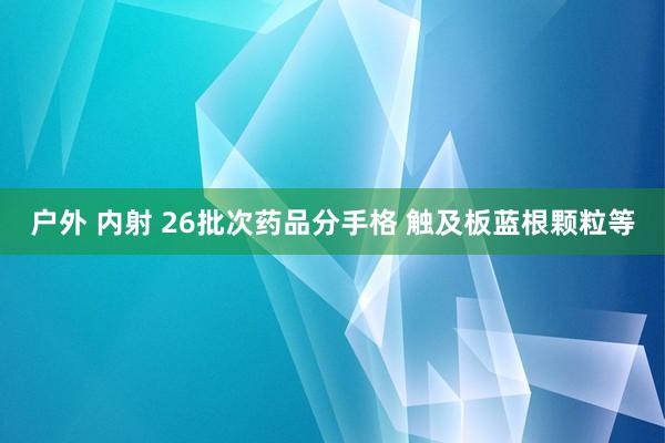 户外 内射 26批次药品分手格 触及板蓝根颗粒等