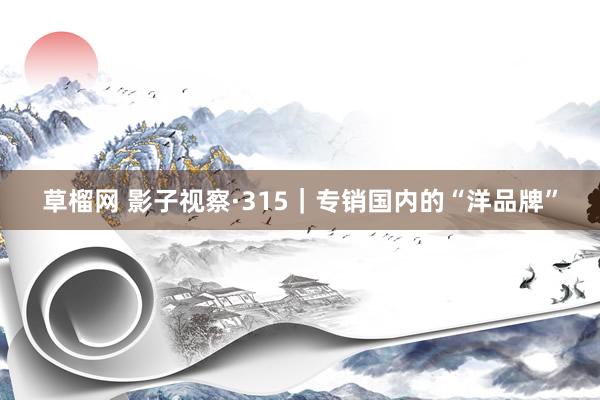 草榴网 影子视察·315｜专销国内的“洋品牌”