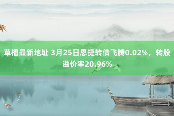 草榴最新地址 3月25日恩捷转债飞腾0.02%，转股溢价率20.96%