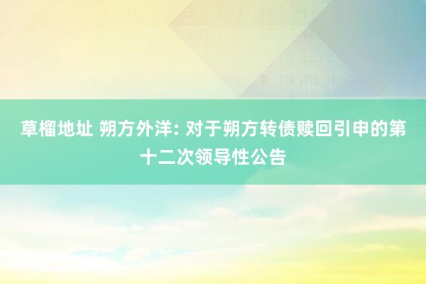 草榴地址 朔方外洋: 对于朔方转债赎回引申的第十二次领导性公告