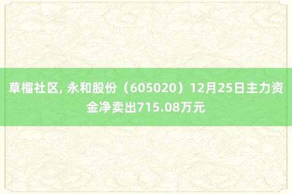 草榴社区， 永和股份（605020）12月25日主力资金净卖出715.08万元