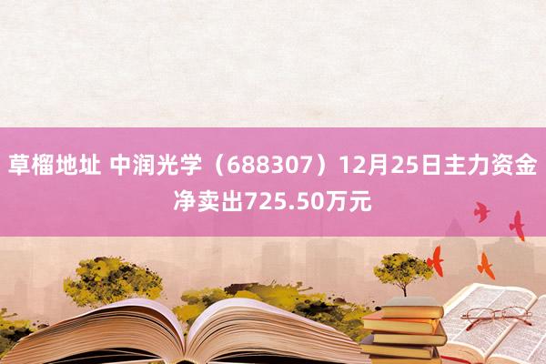 草榴地址 中润光学（688307）12月25日主力资金净卖出725.50万元