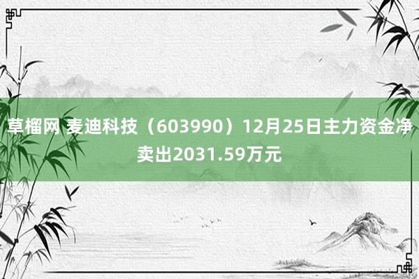 草榴网 麦迪科技（603990）12月25日主力资金净卖出2031.59万元