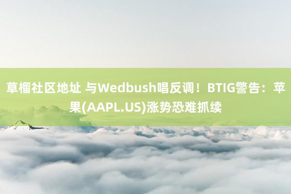 草榴社区地址 与Wedbush唱反调！BTIG警告：苹果(AAPL.US)涨势恐难抓续