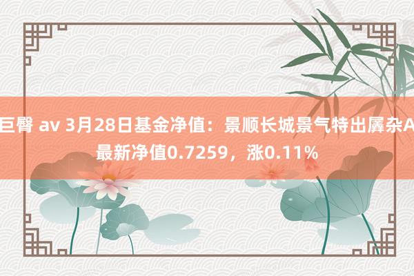 巨臀 av 3月28日基金净值：景顺长城景气特出羼杂A最新净值0.7259，涨0.11%