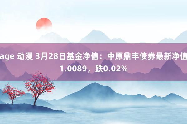 age 动漫 3月28日基金净值：中原鼎丰债券最新净值1.0089，跌0.02%