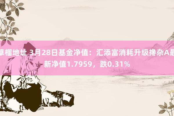 草榴地址 3月28日基金净值：汇添富消耗升级搀杂A最新净值1.7959，跌0.31%