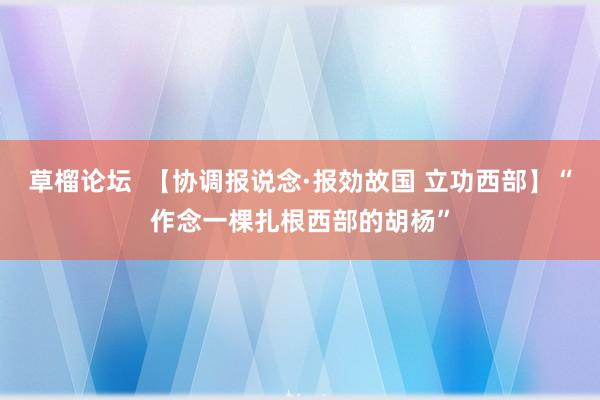 草榴论坛  【协调报说念·报効故国 立功西部】“作念一棵扎根西部的胡杨”
