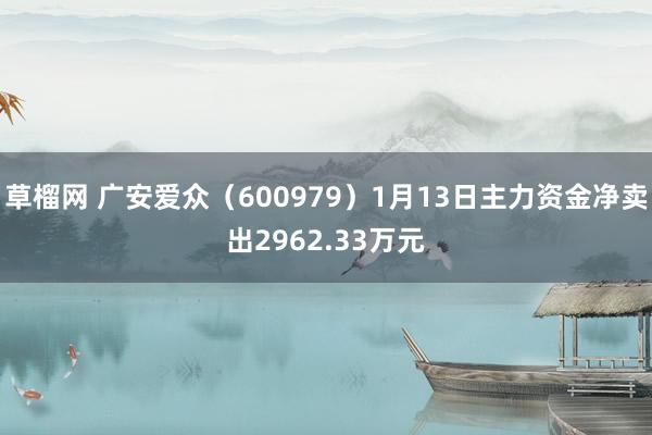 草榴网 广安爱众（600979）1月13日主力资金净卖出2962.33万元