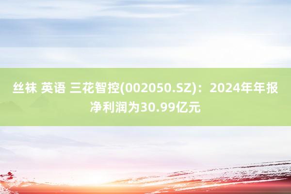 丝袜 英语 三花智控(002050.SZ)：2024年年报净利润为30.99亿元