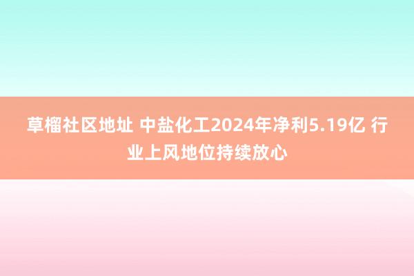 草榴社区地址 中盐化工2024年净利5.19亿 行业上风地位持续放心