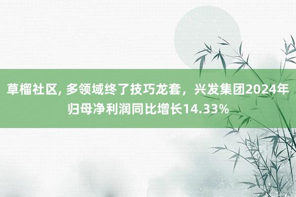 草榴社区， 多领域终了技巧龙套，兴发集团2024年归母净利润同比增长14.33%