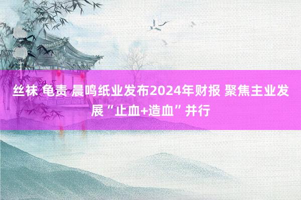 丝袜 龟责 晨鸣纸业发布2024年财报 聚焦主业发展“止血+造血”并行