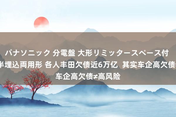 パナソニック 分電盤 大形リミッタースペース付 露出・半埋込両用形 各人丰田欠债近6万亿  其实车企高欠债≠高风险