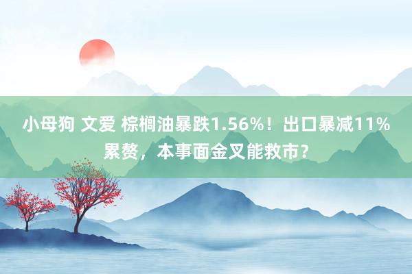小母狗 文爱 棕榈油暴跌1.56%！出口暴减11%累赘，本事面金叉能救市？