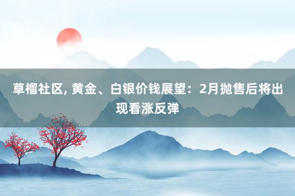 草榴社区， 黄金、白银价钱展望：2月抛售后将出现看涨反弹