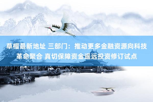 草榴最新地址 三部门：推动更多金融资源向科技革命聚合 真切保障资金遥远投资修订试点