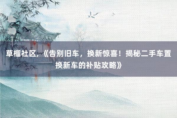草榴社区， 《告别旧车，换新惊喜！揭秘二手车置换新车的补贴攻略》