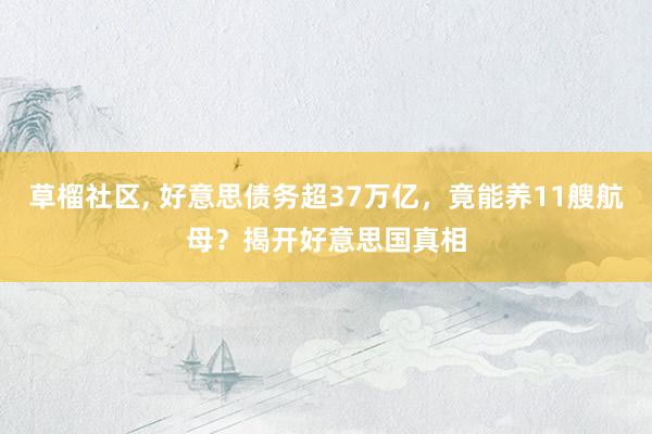 草榴社区， 好意思债务超37万亿，竟能养11艘航母？揭开好意思国真相