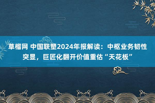草榴网 中国联塑2024年报解读：中枢业务韧性突显，巨匠化翻开价值重估“天花板”