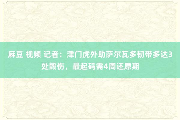麻豆 视频 记者：津门虎外助萨尔瓦多韧带多达3处毁伤，最起码需4周还原期