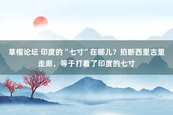 草榴论坛 印度的“七寸”在哪儿？掐断西里古里走廊，等于打着了印度的七寸