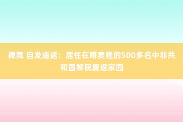 裸舞 自发遣返：居住在喀麦隆的500多名中非共和国黎民复返家园
