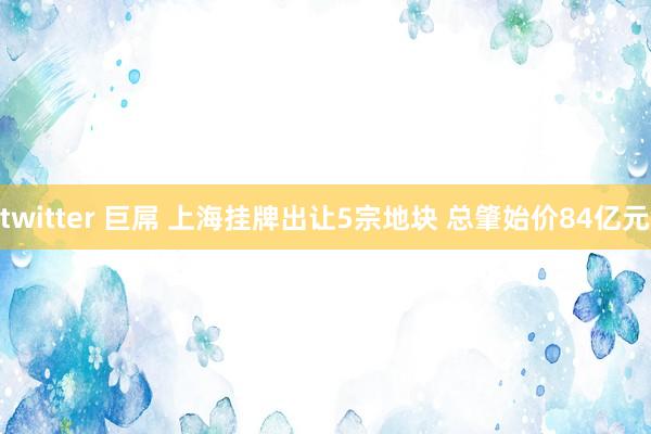 twitter 巨屌 上海挂牌出让5宗地块 总肇始价84亿元