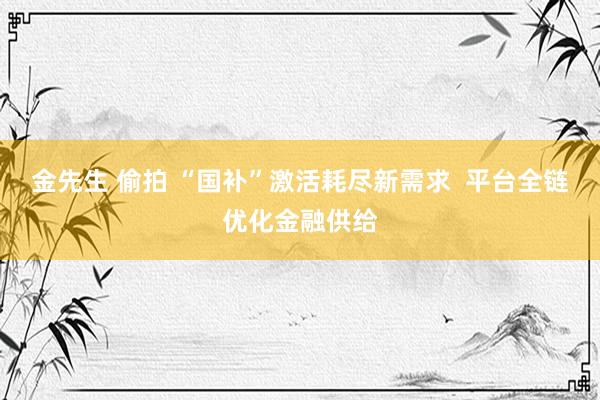 金先生 偷拍 “国补”激活耗尽新需求  平台全链优化金融供给