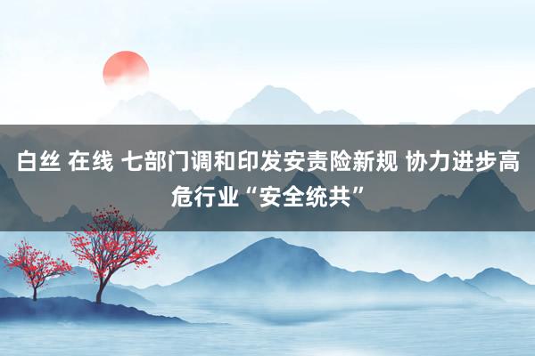 白丝 在线 七部门调和印发安责险新规 协力进步高危行业“安全统共”