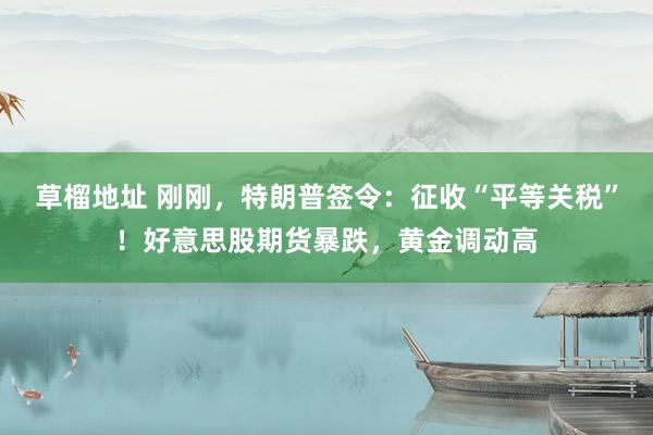 草榴地址 刚刚，特朗普签令：征收“平等关税”！好意思股期货暴跌，黄金调动高