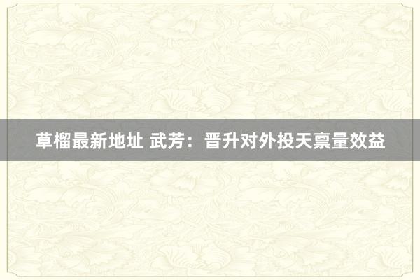 草榴最新地址 武芳：晋升对外投天禀量效益