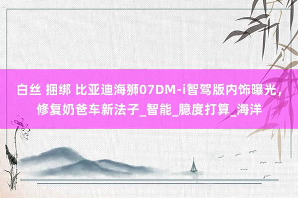 白丝 捆绑 比亚迪海狮07DM-i智驾版内饰曝光，修复奶爸车新法子_智能_臆度打算_海洋