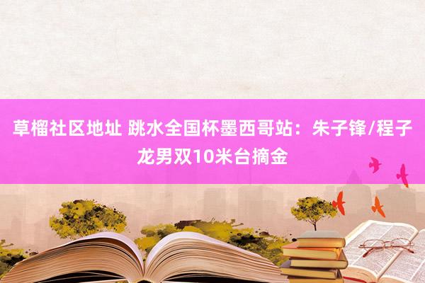草榴社区地址 跳水全国杯墨西哥站：朱子锋/程子龙男双10米台摘金