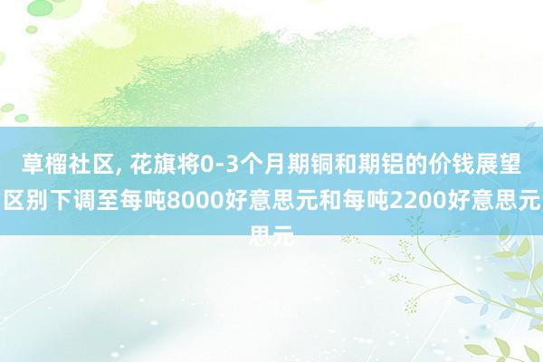 草榴社区， 花旗将0-3个月期铜和期铝的价钱展望区别下调至每吨8000好意思元和每吨2200好意思元