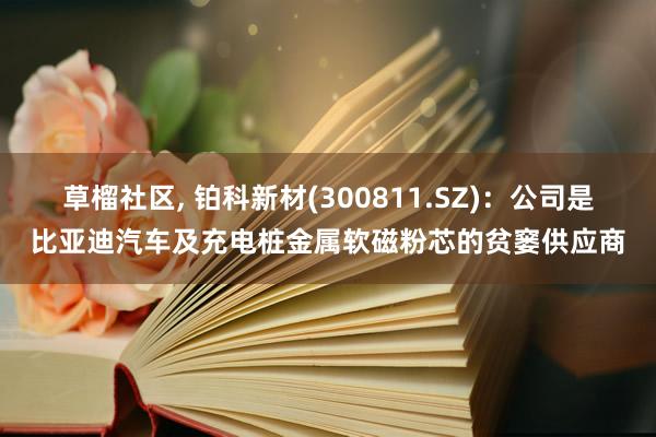 草榴社区， 铂科新材(300811.SZ)：公司是比亚迪汽车及充电桩金属软磁粉芯的贫窭供应商