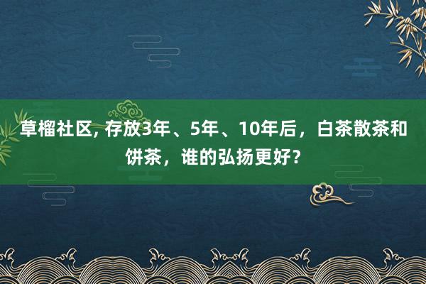 草榴社区， 存放3年、5年、10年后，白茶散茶和饼茶，谁的弘扬更好？
