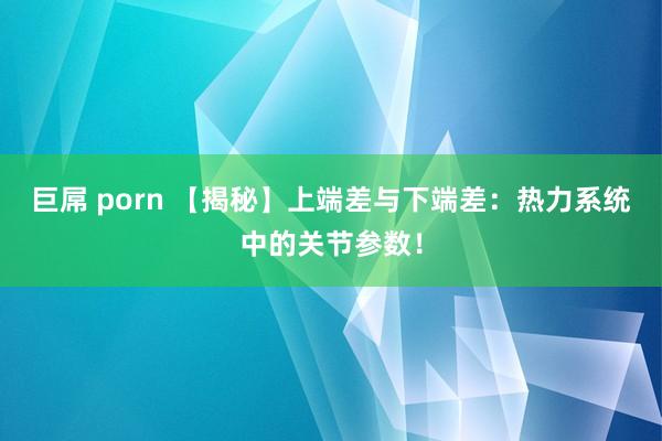 巨屌 porn 【揭秘】上端差与下端差：热力系统中的关节参数！