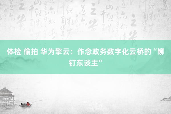 体检 偷拍 华为擎云：作念政务数字化云桥的“铆钉东谈主”